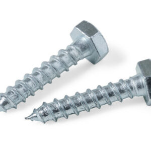 Coach Screw (Self-Tapping Lag Screw)